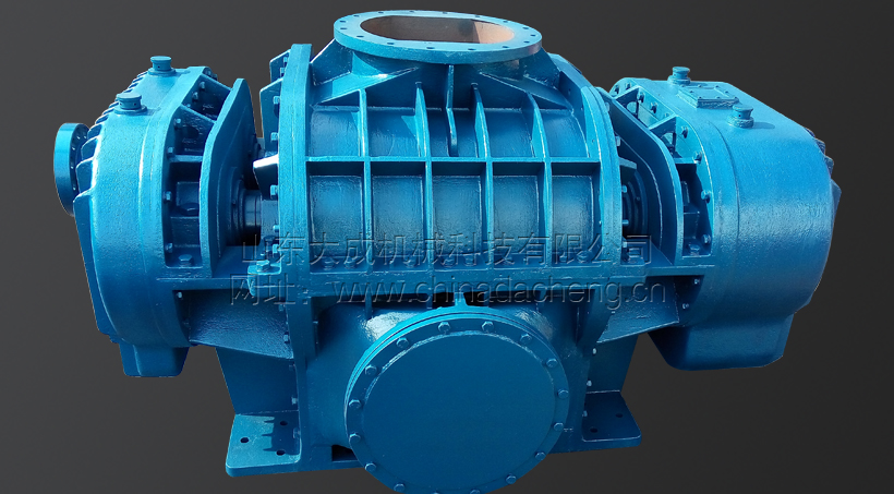 <b>DSR-L93WD羅茨鼓風機</b>